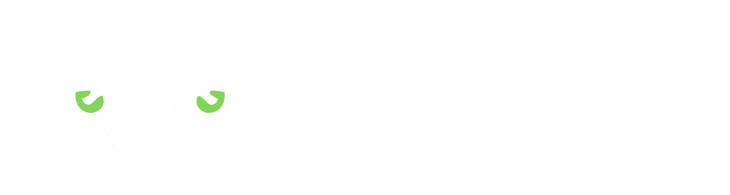 Dawn Light Safaris